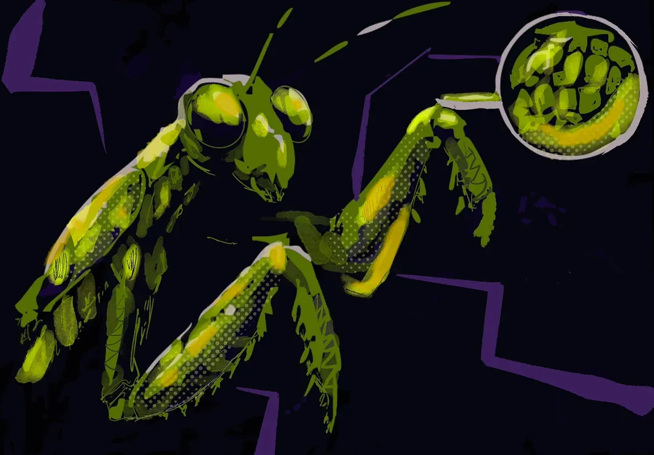 A close anatomical reference study of the mantis's leg and texture